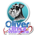 veterinariaoliver.com